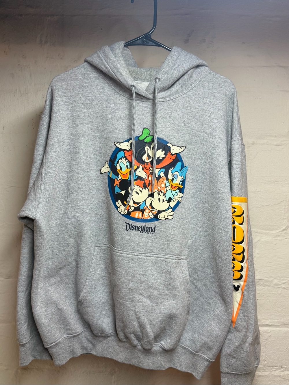 Disney Grey Graphic Hoodie - Classic Disney Characters